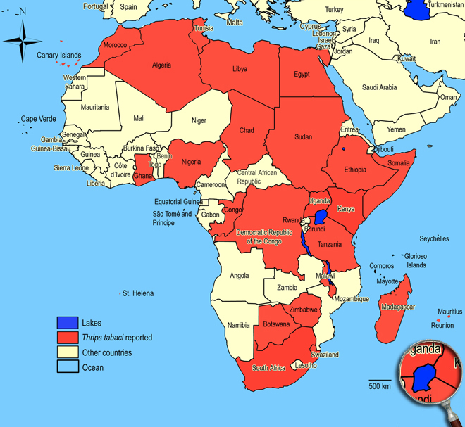 Distibution Map Africa